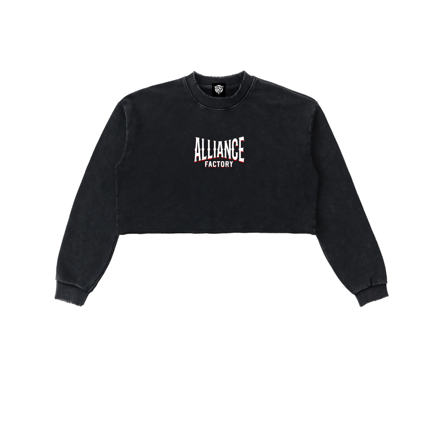 AF Snow Washed Raw Edge Cropped Sweatshirt